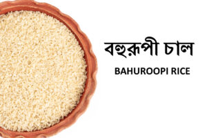 BOHURUPI RICE