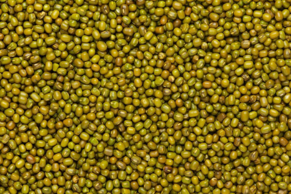 GREEN MOONG DAL - Image 2