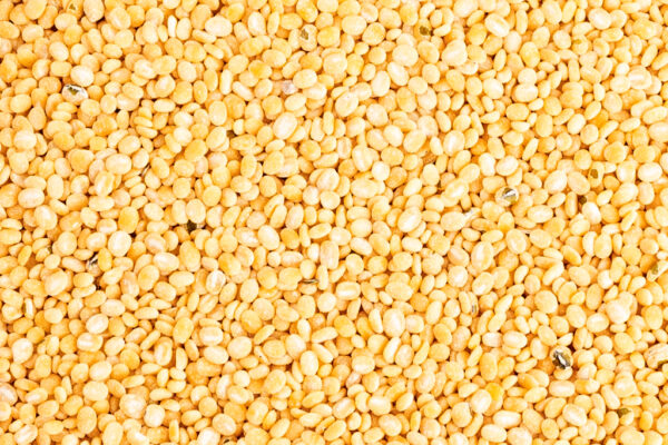 MOONG DAL - Image 2